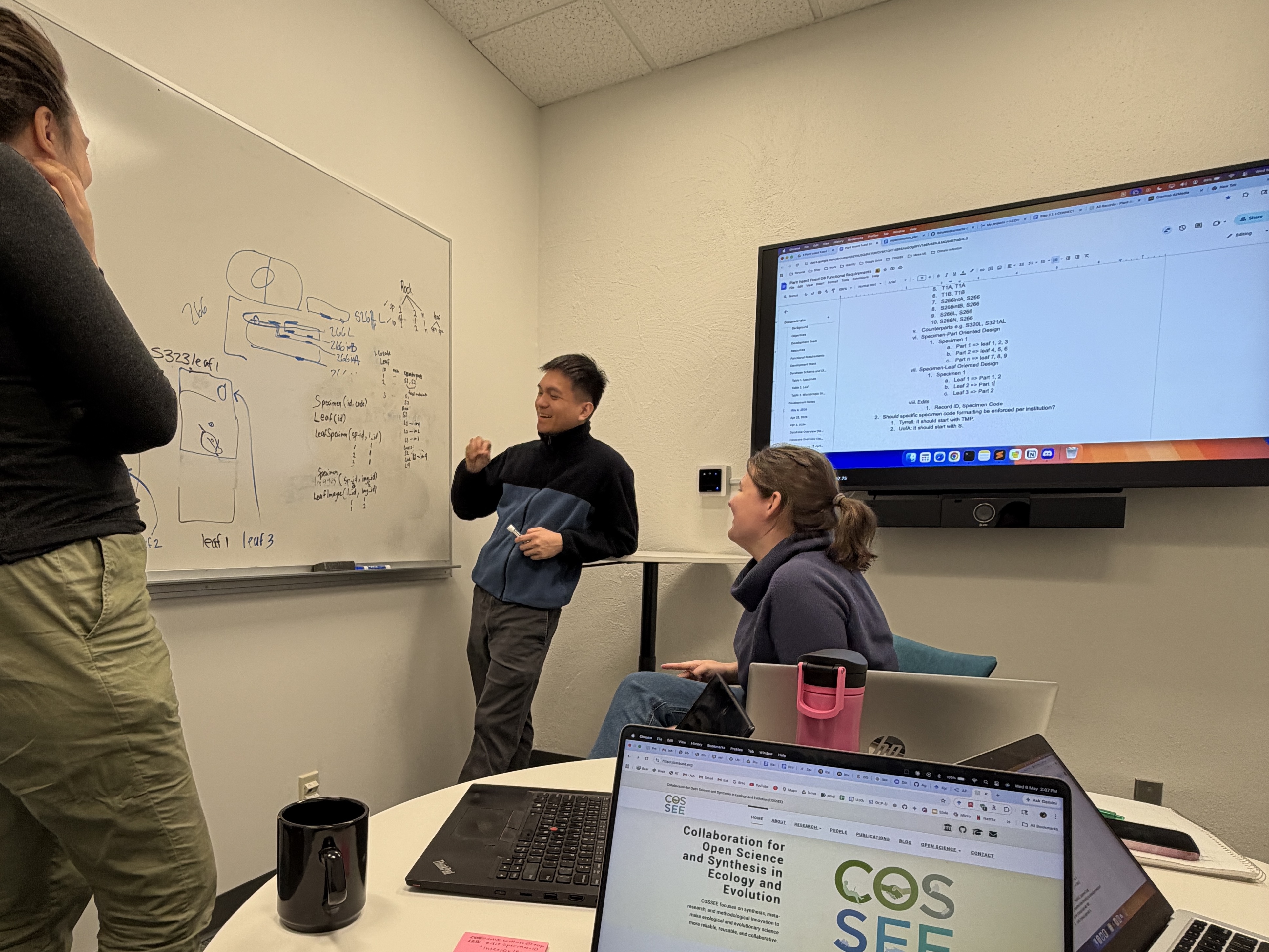 COSSEE team whiteboard discussion