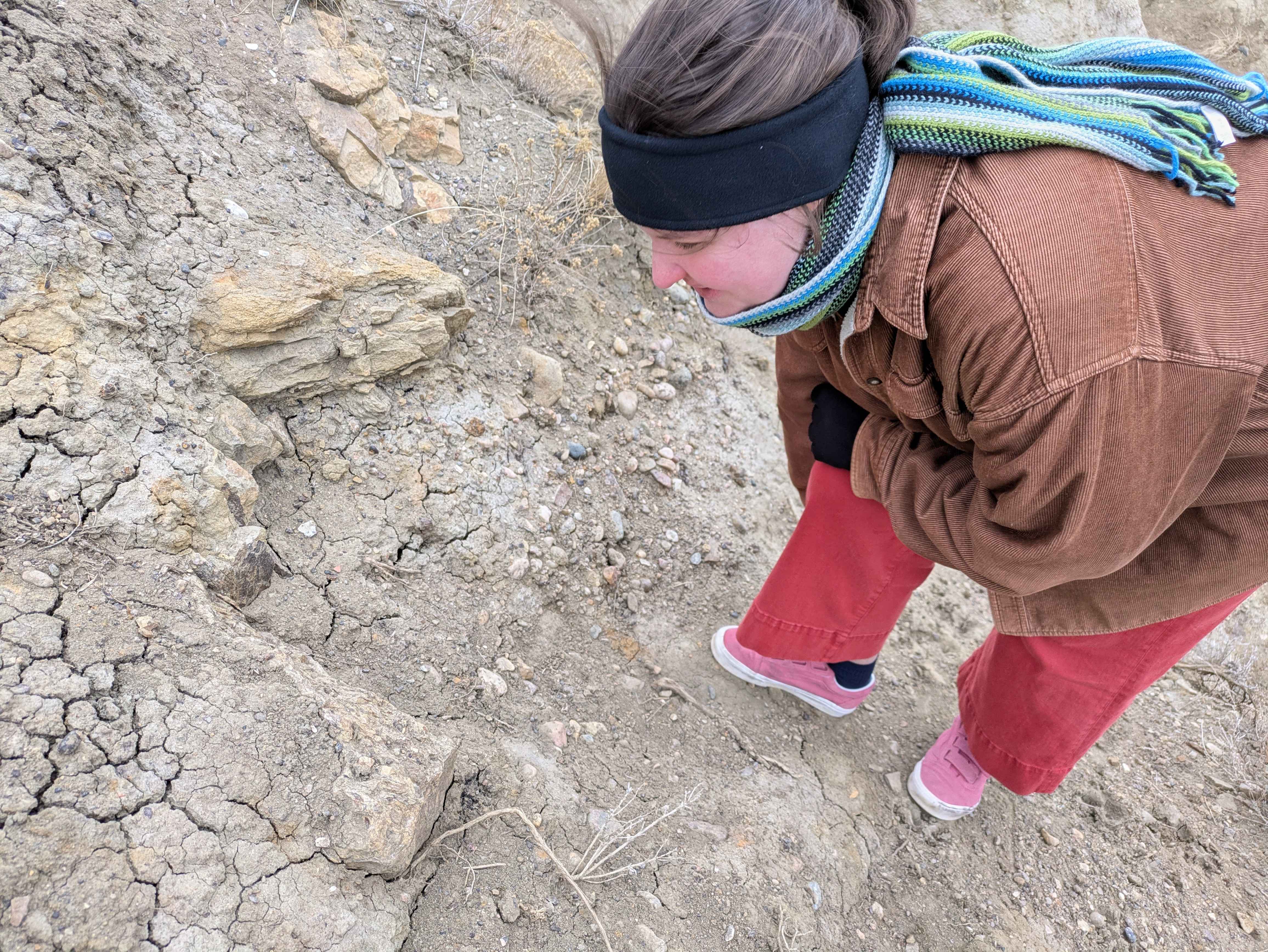 COSSEE workspace photo 17