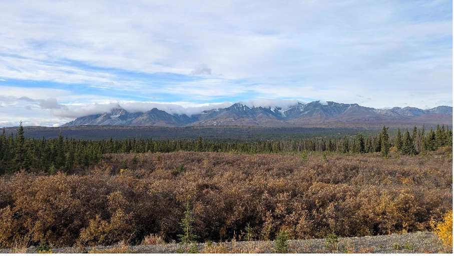 Haines Junction in the Yukon.