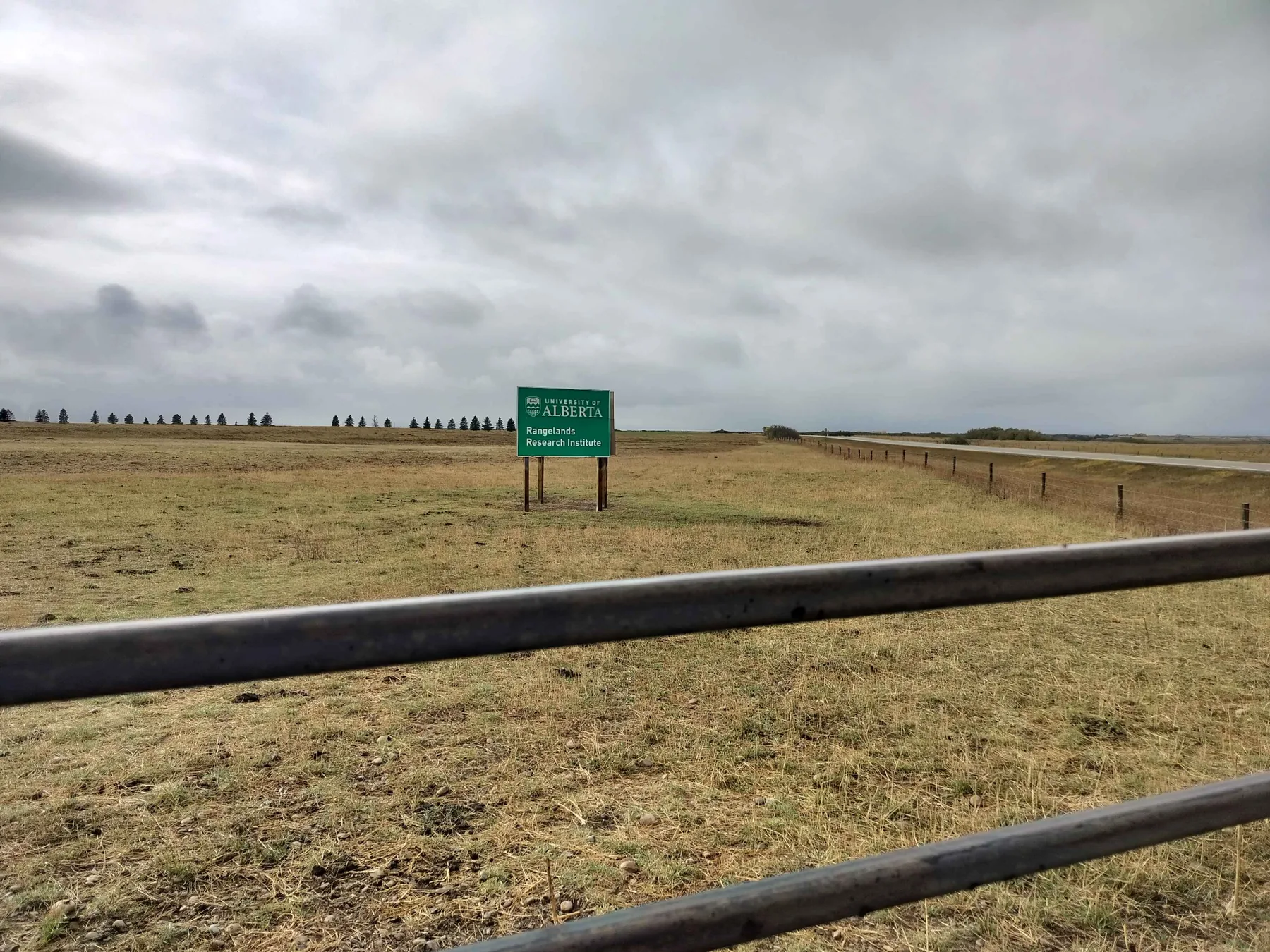 A Thanksgiving at the University of Alberta Mattheis Research Ranch