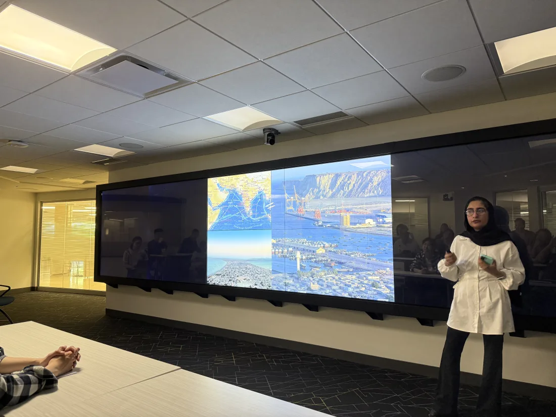 A speaker presenting a slide during a short talk at the workshop.