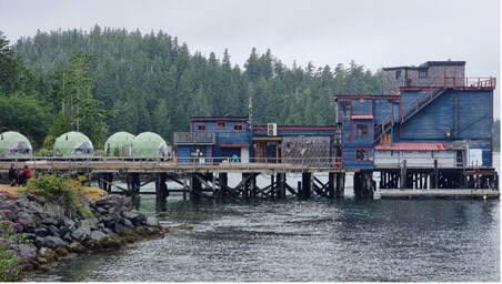 Glamping domes and a fishery building in Tofino.